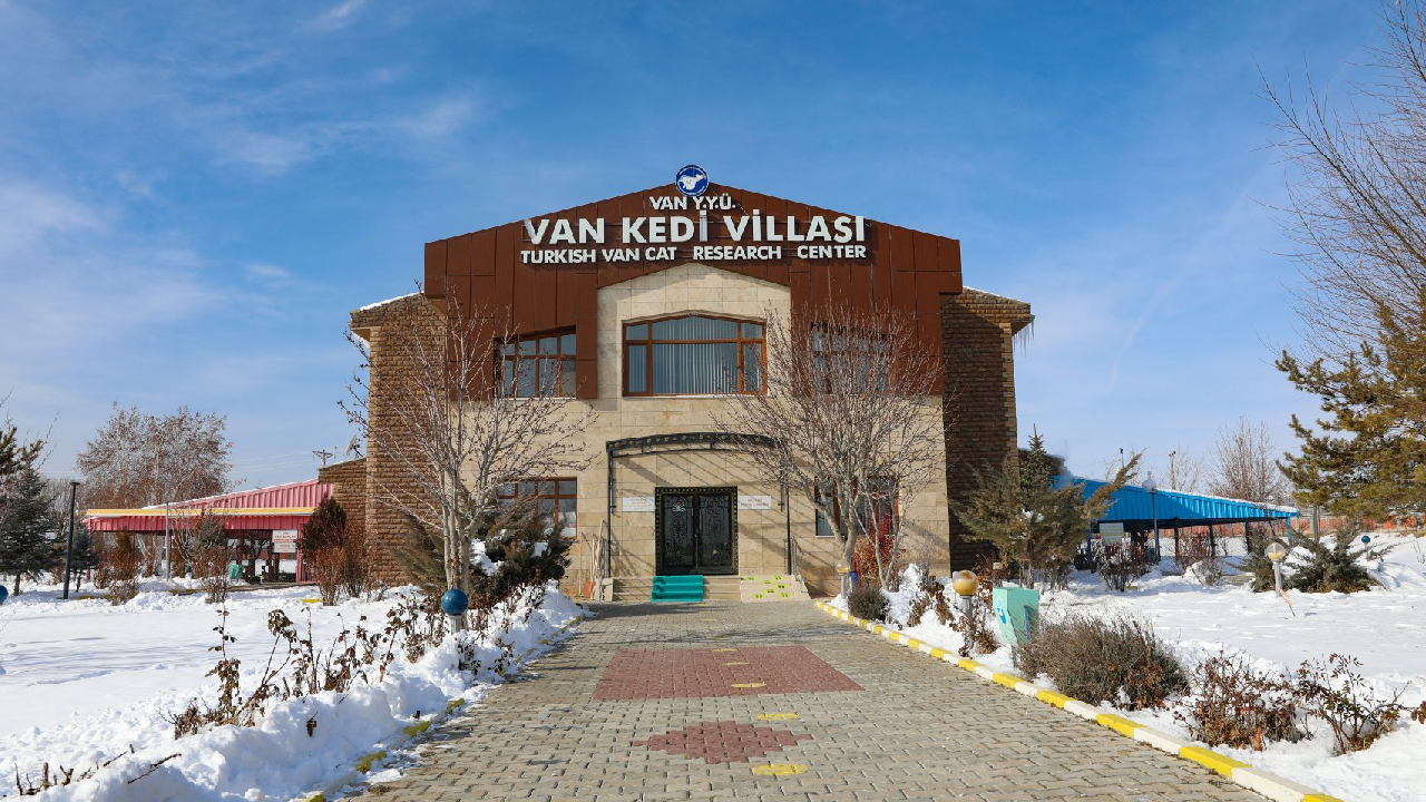 تور ریلی بلک فرایدی وان ترکیه