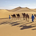 تور شگفت‌انگیز مراکش – نوروز ۱۴۰۵