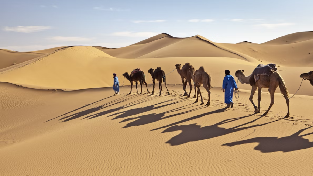 تور شگفت‌انگیز مراکش – نوروز ۱۴۰۵