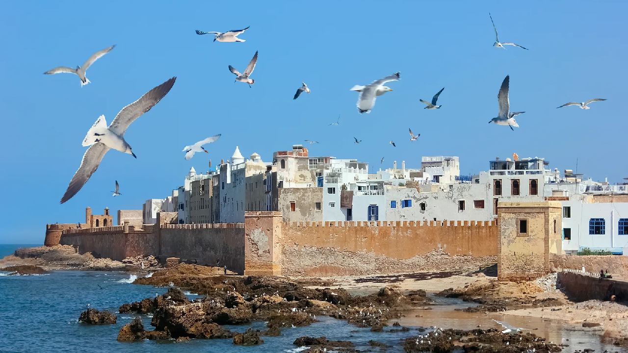 تور شگفت‌انگیز مراکش – نوروز ۱۴۰۵