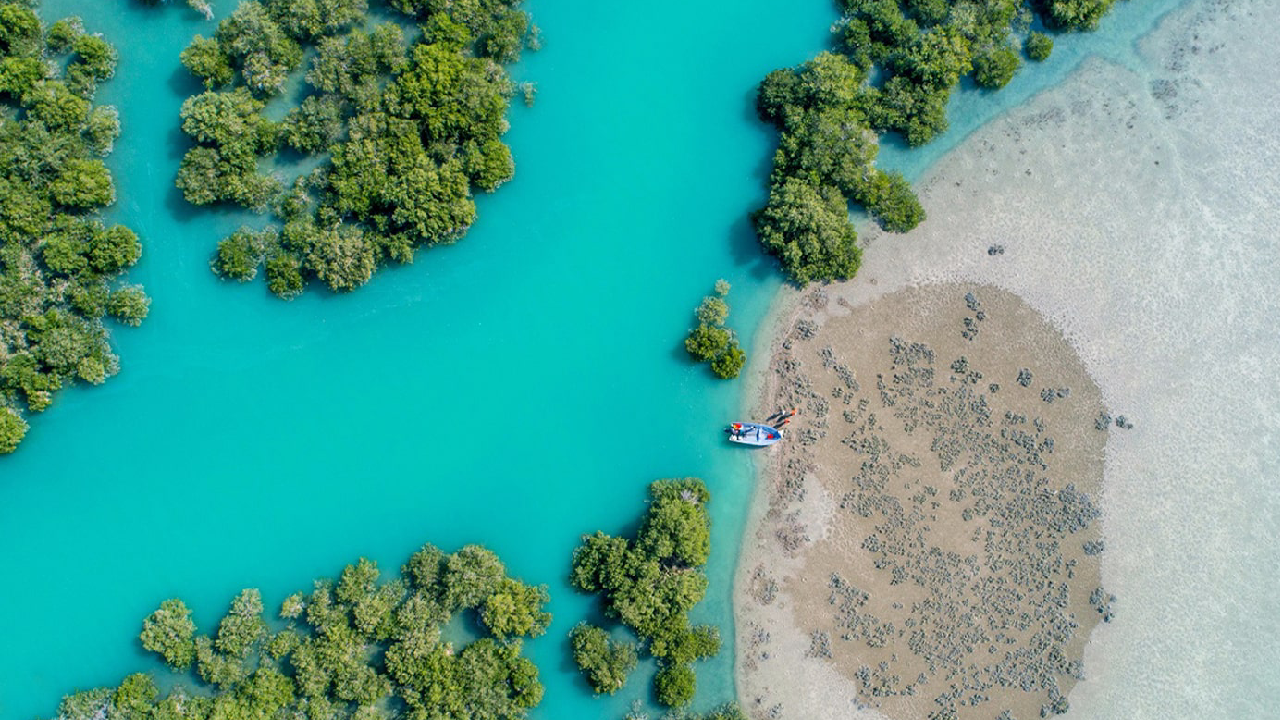 گشت نیم‌ روزه جزیره قشم