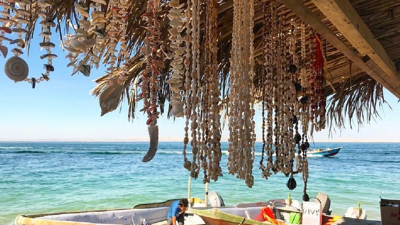 گشت نیم روز جزیره هنگام