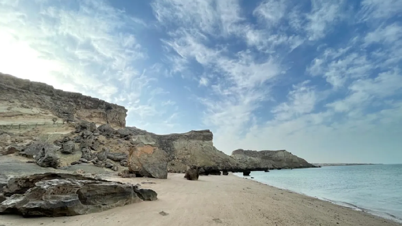 گشت نیم روز جزیره هنگام