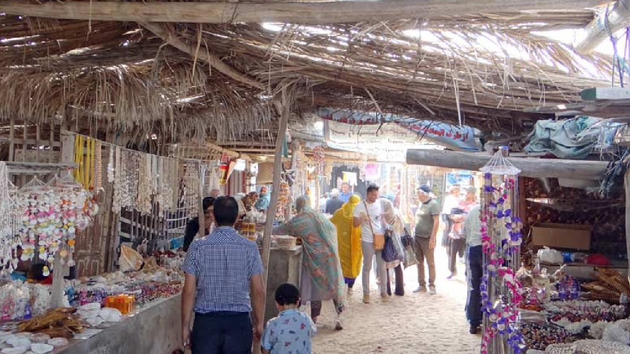 گشت نیم روز جزیره هنگام