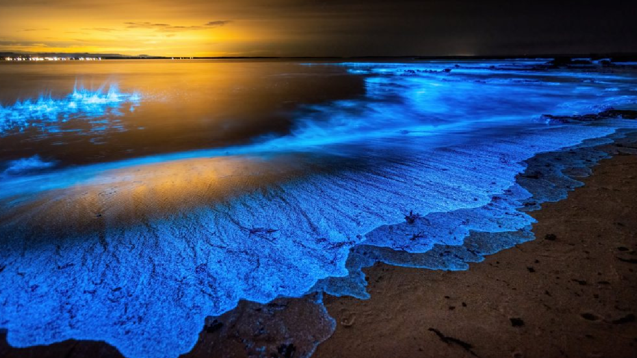 گشت نیم روز جزیره هنگام