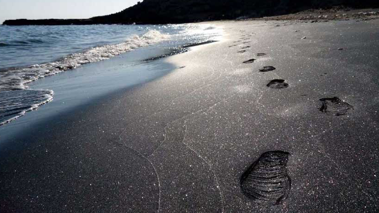 گشت نیم روز جزیره هنگام