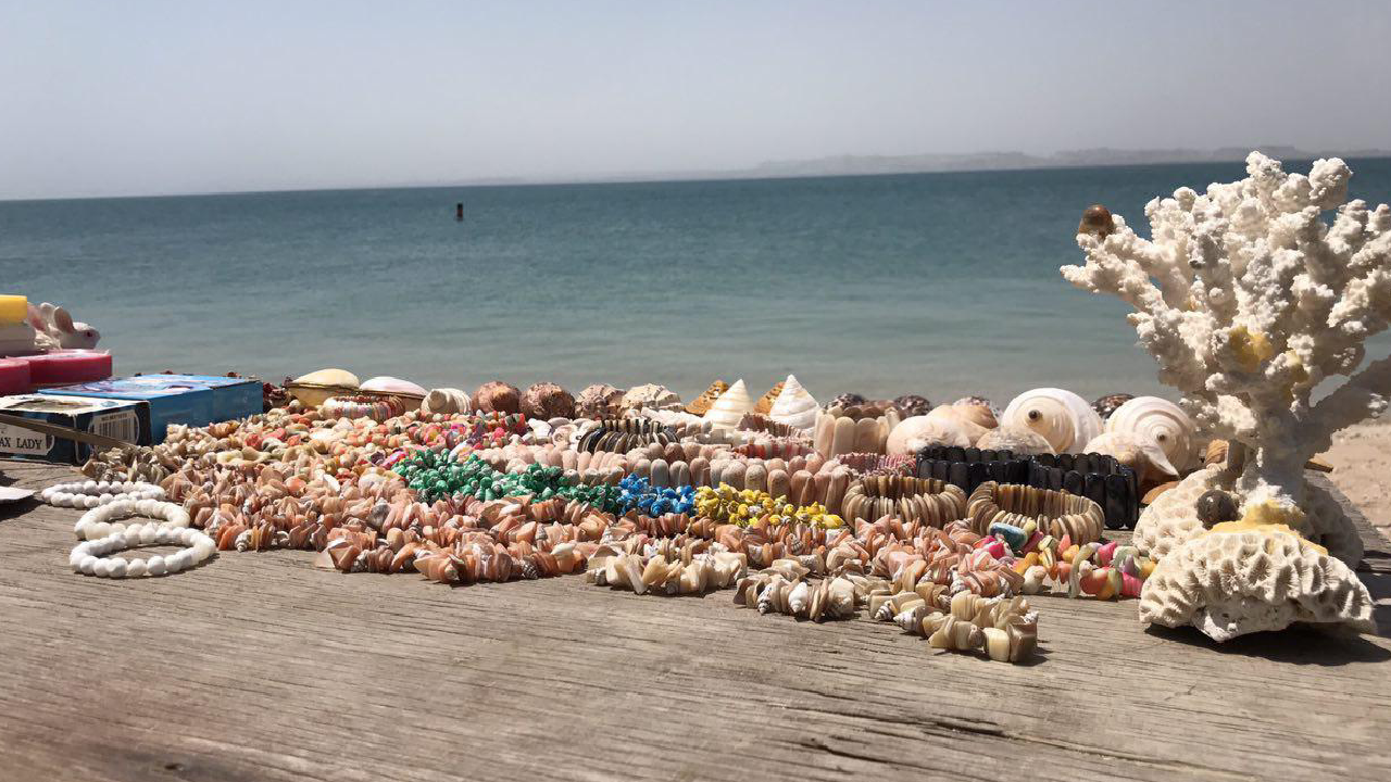 گشت نیم روز جزیره هنگام