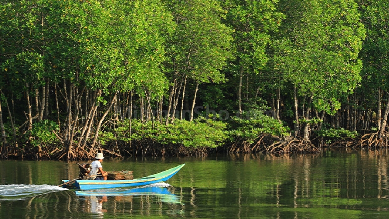 گشت نیم‌ روزه جزیره قشم