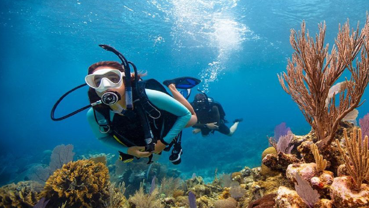 تور دو روزه جزیره لارک با غواصی اسکوبا و اقامت ساحلی | آخر هفته با دلفین‌ها