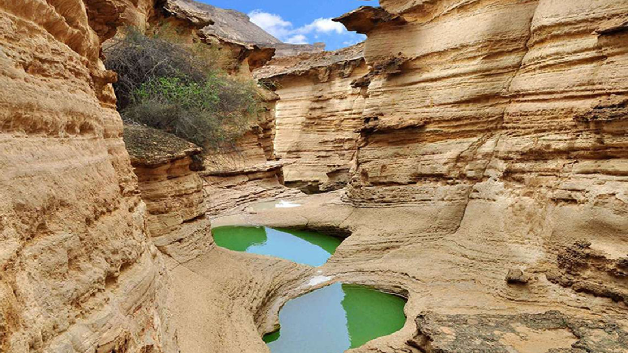 گشت قشم و هنگام ( ویژه )