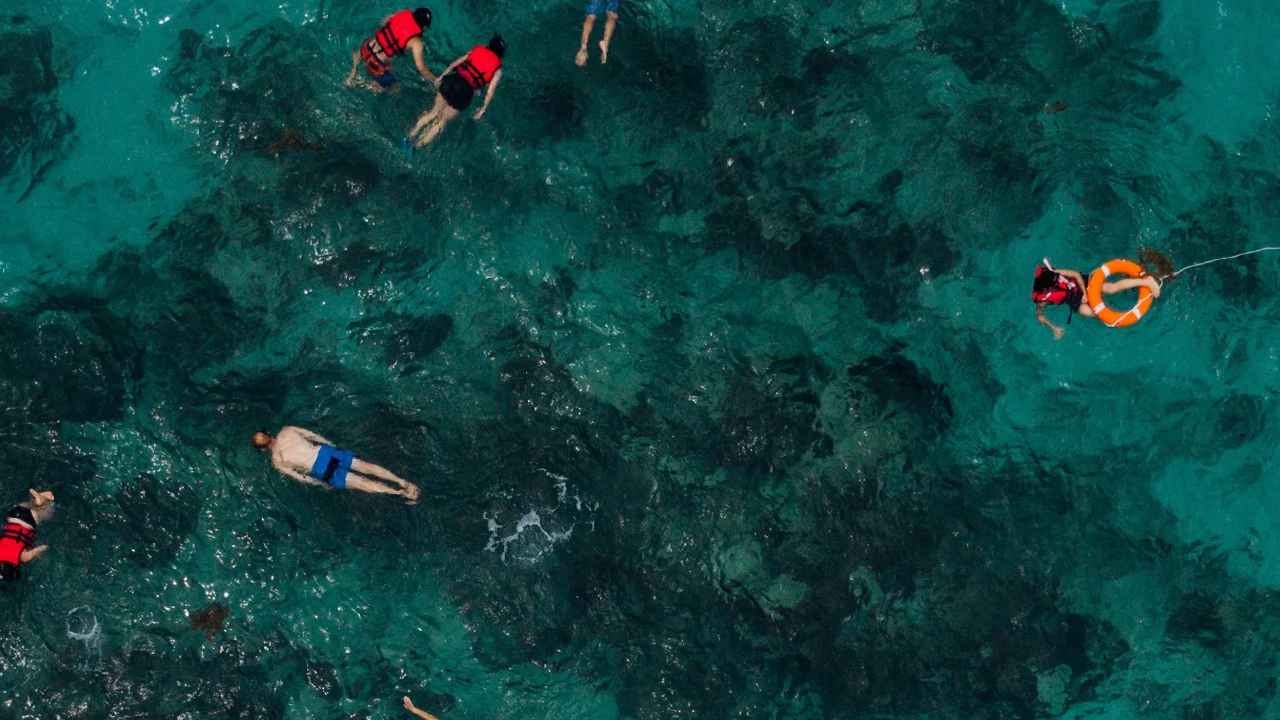 تور نیم‌ روزه جزیره لارک با غواصی اسنورکلینگ و پدل‌برد