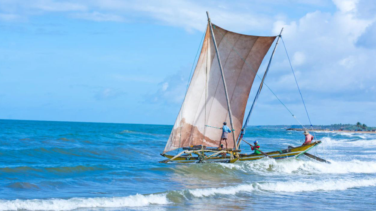 تور سریلانکا (کلمبو، دامبولا، کندی و بنتوتا)