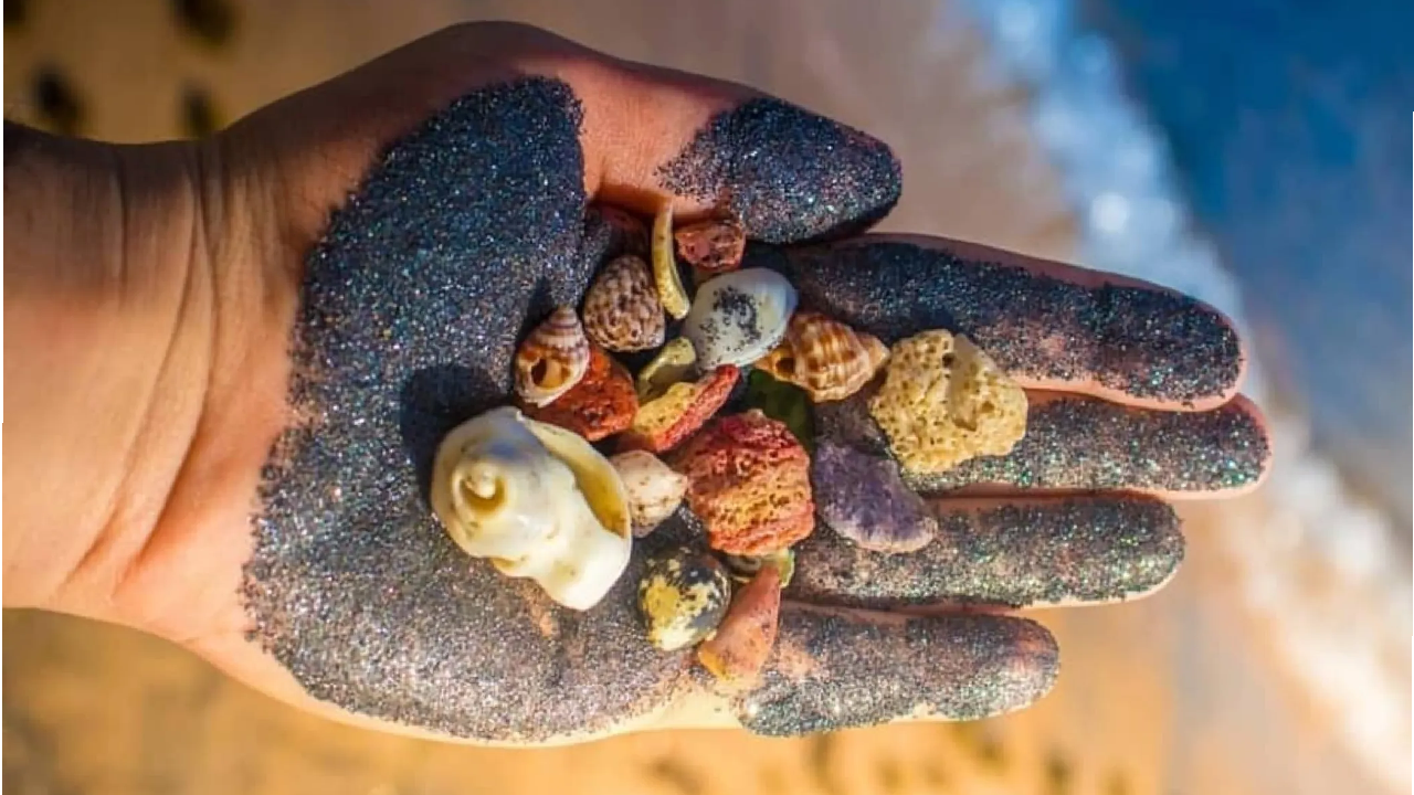 گشت قشم و هنگام ( ویژه )