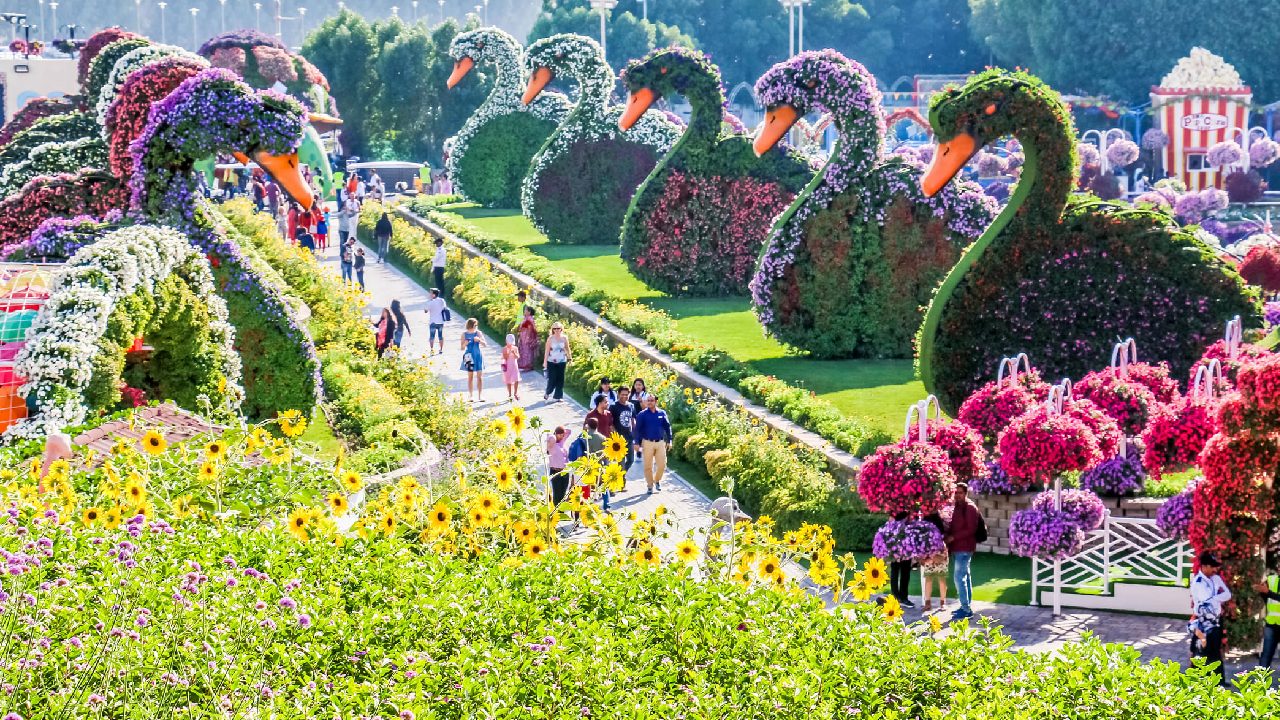 تور گروهی دبی – ویژه سال نو میلادی ۱۳ دی‌ ماه ۱۴۰۴