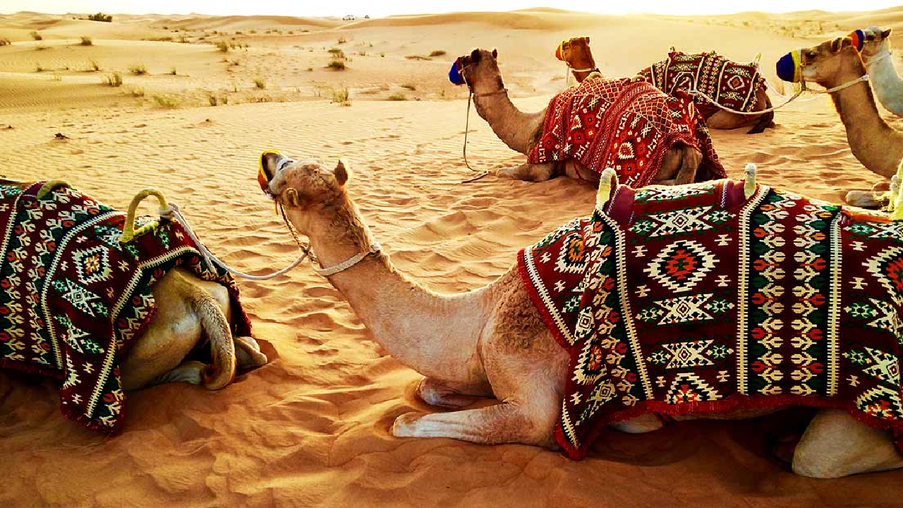 تور گروهی دبی – ویژه سال نو میلادی ۱۳ دی‌ ماه ۱۴۰۴